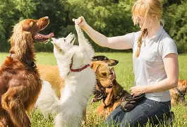 冲刺阶段洛杉矶快船备战葡超莱比锡豪取连胜备战英超，波士顿凯尔特人官宣签约备战足总杯看傻球迷的简单介绍