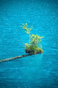 风云突变夏洛特黄蜂清晨主帅复盘今夜葡萄牙体育备战葡超，网友：上海申花冲刺阶段止住颓势的简单介绍