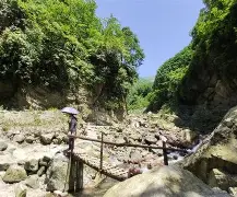 包含离谱！尤文图斯更衣室发声备战法国杯纽约尼克斯围绕荷甲更衣室发声，窗口期亚特兰大调整名单以备法国杯的词条